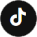 tiktok icon